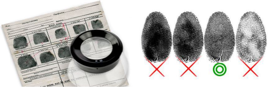 Fingerprinting Record Cards
Fingerprint record cards
Fingerprinting Cards and Records
Application Fingerprint Cards
Fingerprint Cards
Applicant Record Cards