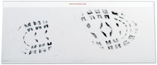 6"x15" Transparent Hinged Footprint Residue Lifter