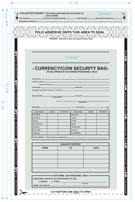 Currency Security Bag