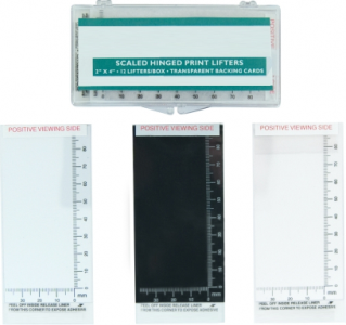 Transparent Scaled Hinged Print Lifters - 2" x 4" - 12/box
