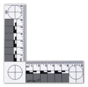 ABFO No. 2 Scale