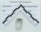 Photo Scale - Adhesive L-Shaped